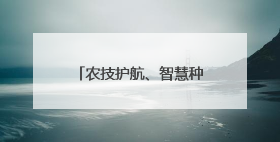 农技护航、智慧种田 三夏时节各地都在抢农时 忙耕种