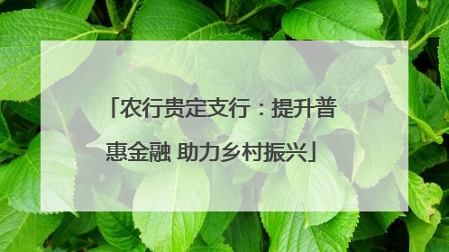 农行贵定支行：提升普惠金融 助力乡村振兴
