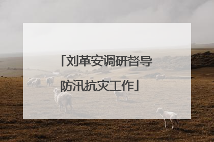 刘革安调研督导防汛抗灾工作