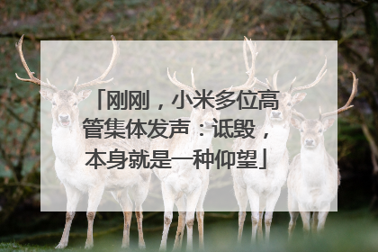 刚刚，小米多位高管集体发声：诋毁，本身就是一种仰望