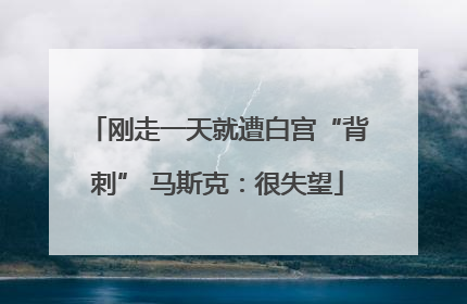 刚走一天就遭白宫“背刺” 马斯克：很失望