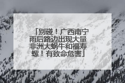 别碰！广西南宁雨后路边出现大量非洲大蜗牛和福寿螺！有致命危害