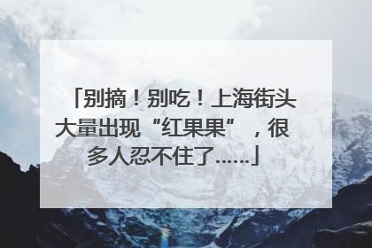 别摘！别吃！上海街头大量出现“红果果”，很多人忍不住了……