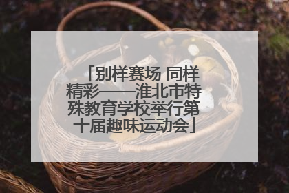 别样赛场 同样精彩——淮北市特殊教育学校举行第十届趣味运动会