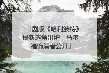 剧版《哈利波特》最新选角出炉，马尔福饰演者公开