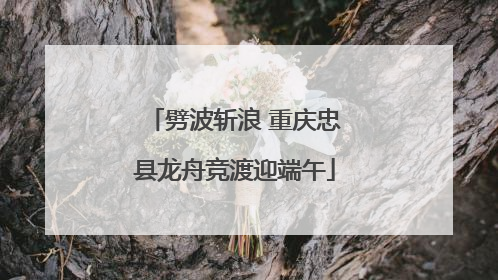 劈波斩浪 重庆忠县龙舟竞渡迎端午