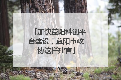 加快益阳科创平台建设，益阳市政协这样建言