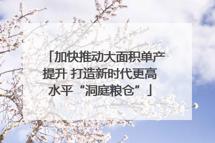 加快推动大面积单产提升 打造新时代更高水平“洞庭粮仓”