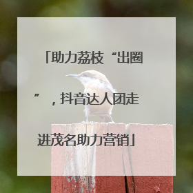 助力荔枝“出圈”，抖音达人团走进茂名助力营销