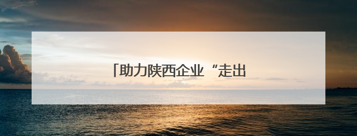 助力陕西企业“走出去” 他们在行动