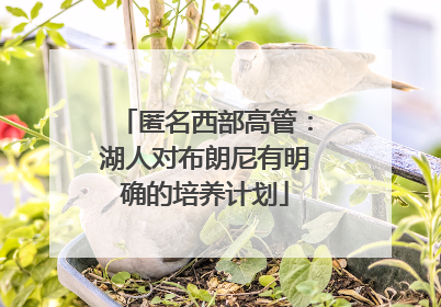 匿名西部高管：湖人对布朗尼有明确的培养计划