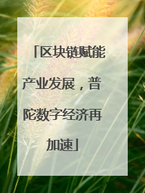 区块链赋能产业发展，普陀数字经济再加速