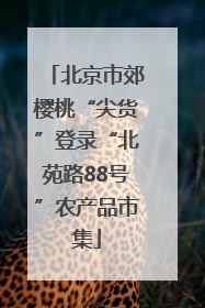 北京市郊樱桃“尖货”登录“北苑路88号”农产品市集