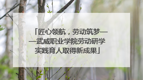 匠心领航，劳动筑梦——武威职业学院劳动研学实践育人取得新成果