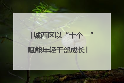 城西区以“十个一”赋能年轻干部成长