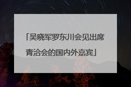 吴晓军罗东川会见出席青洽会的国内外嘉宾