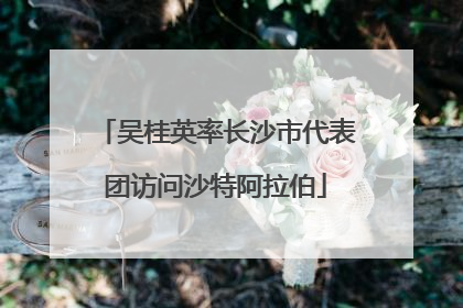 吴桂英率长沙市代表团访问沙特阿拉伯