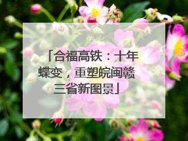 合福高铁：十年蝶变，重塑皖闽赣三省新图景