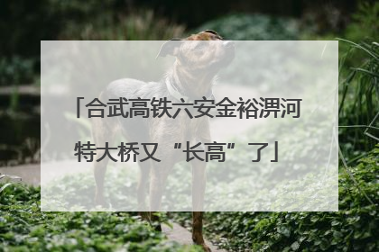 合武高铁六安金裕淠河特大桥又“长高”了