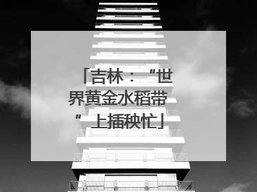 吉林：“世界黄金水稻带”上插秧忙