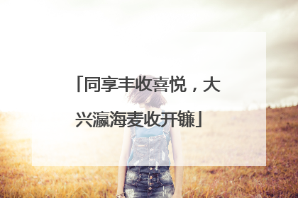 同享丰收喜悦，大兴瀛海麦收开镰