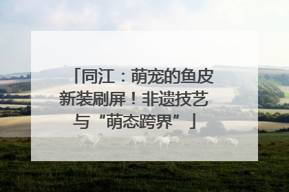 同江：萌宠的鱼皮新装刷屏！非遗技艺与“萌态跨界”