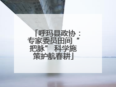呼玛县政协：专家委员田间“把脉” 科学施策护航春耕
