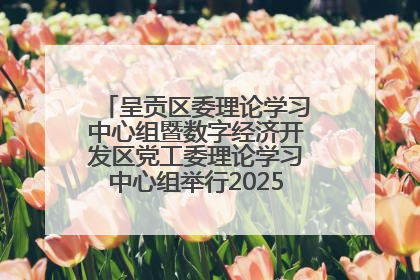 呈贡区委理论学习中心组暨数字经济开发区党工委理论学习中心组举行2025年第七次学习会议