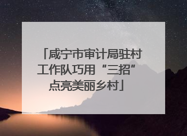 咸宁市审计局驻村工作队巧用“三招”点亮美丽乡村