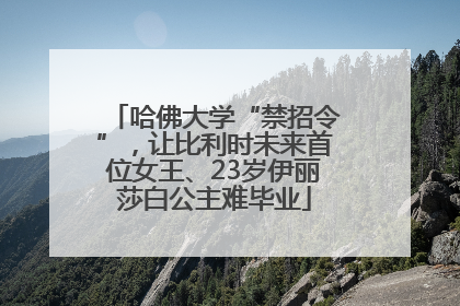 哈佛大学“禁招令”，让比利时未来首位女王、23岁伊丽莎白公主难毕业