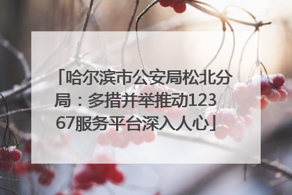 哈尔滨市公安局松北分局：多措并举推动12367服务平台深入人心