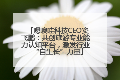 嗯噢哇科技CEO窦飞鹏：共创旅游专业能力认知平台，激发行业“自生长”力量