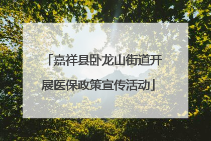 嘉祥县卧龙山街道开展医保政策宣传活动