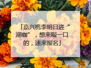 嘉兴槜李明日进“潮咖”，想来嘬一口的，速来报名
