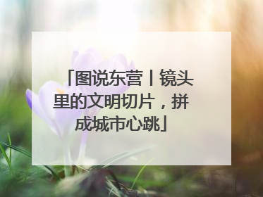 图说东营丨镜头里的文明切片，拼成城市心跳