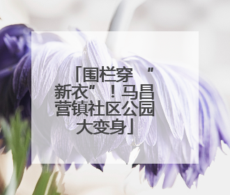 围栏穿 “新衣”！马昌营镇社区公园大变身