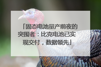 固态电池量产前夜的突围者：比克电池已实现交付，数据领先