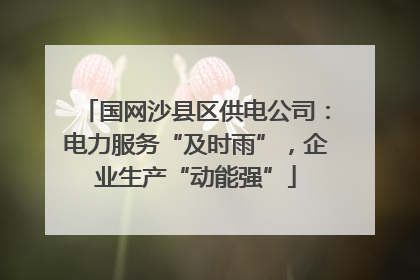 国网沙县区供电公司：电力服务“及时雨”，企业生产“动能强”