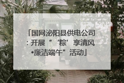 国网泌阳县供电公司：开展“‘粽’享清风 •廉洁端午”活动