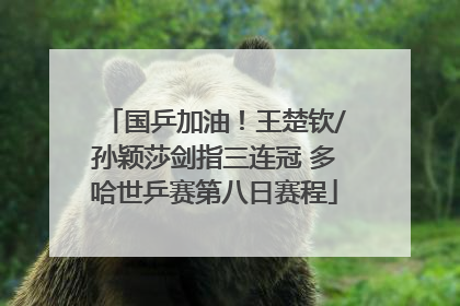 国乒加油！王楚钦/孙颖莎剑指三连冠 多哈世乒赛第八日赛程