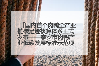 国内首个肉鸭全产业链碳足迹核算体系正式发布——泰安市肉鸭产业低碳发展标准示范项目顺利通过验收