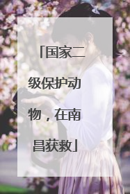国家二级保护动物，在南昌获救