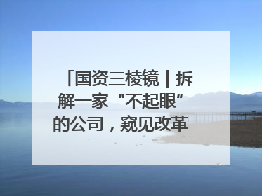 国资三棱镜｜拆解一家“不起眼”的公司，窥见改革中的山东国企