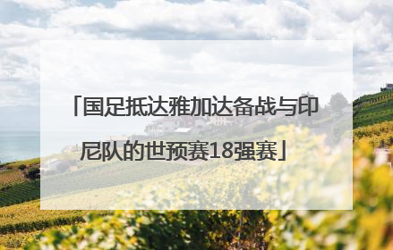 国足抵达雅加达备战与印尼队的世预赛18强赛