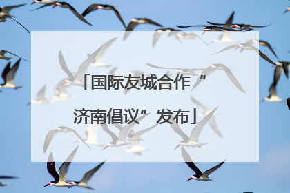 国际友城合作“济南倡议”发布