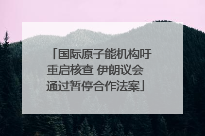 国际原子能机构吁重启核查 伊朗议会通过暂停合作法案