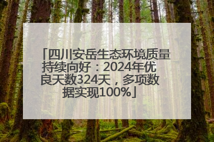 四川安岳生态环境质量持续向好：2024年优良天数324天，多项数据实现100%