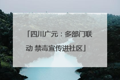 四川广元：多部门联动 禁毒宣传进社区