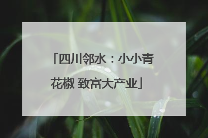 四川邻水：小小青花椒 致富大产业