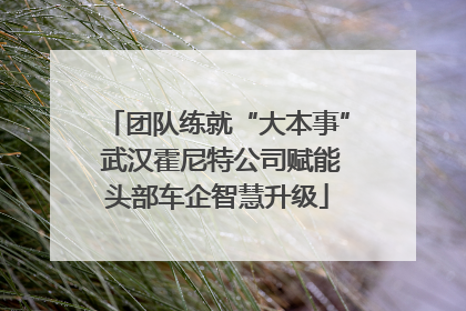团队练就“大本事” 武汉霍尼特公司赋能头部车企智慧升级